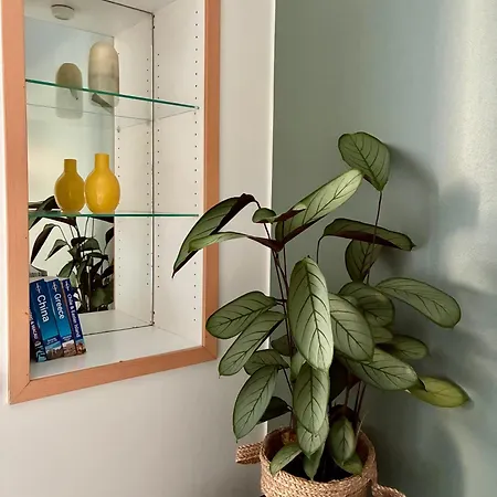 Cozy In The Center Of דירה