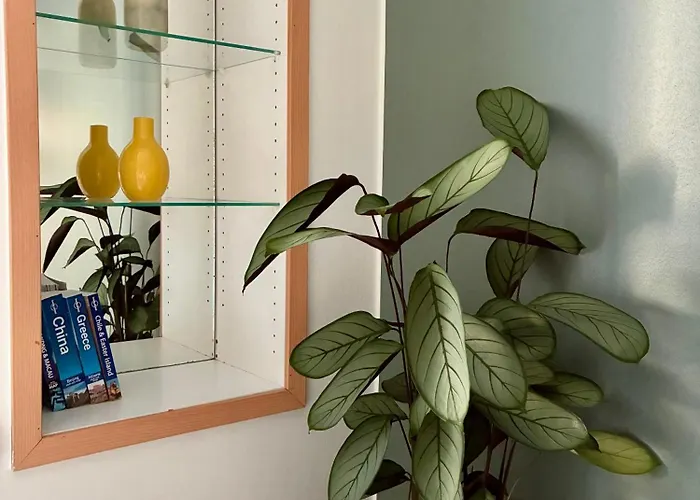 Cozy In The Center Of Apartment